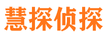 凌河市私家侦探